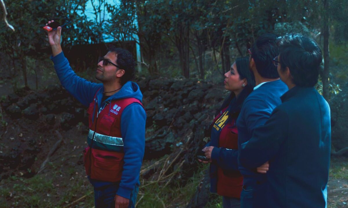 La Sedema convocó a vivir las "Noches de Murciélagos" en Xochimilco, para concientizar sobre la importancia de estos mamíferos.