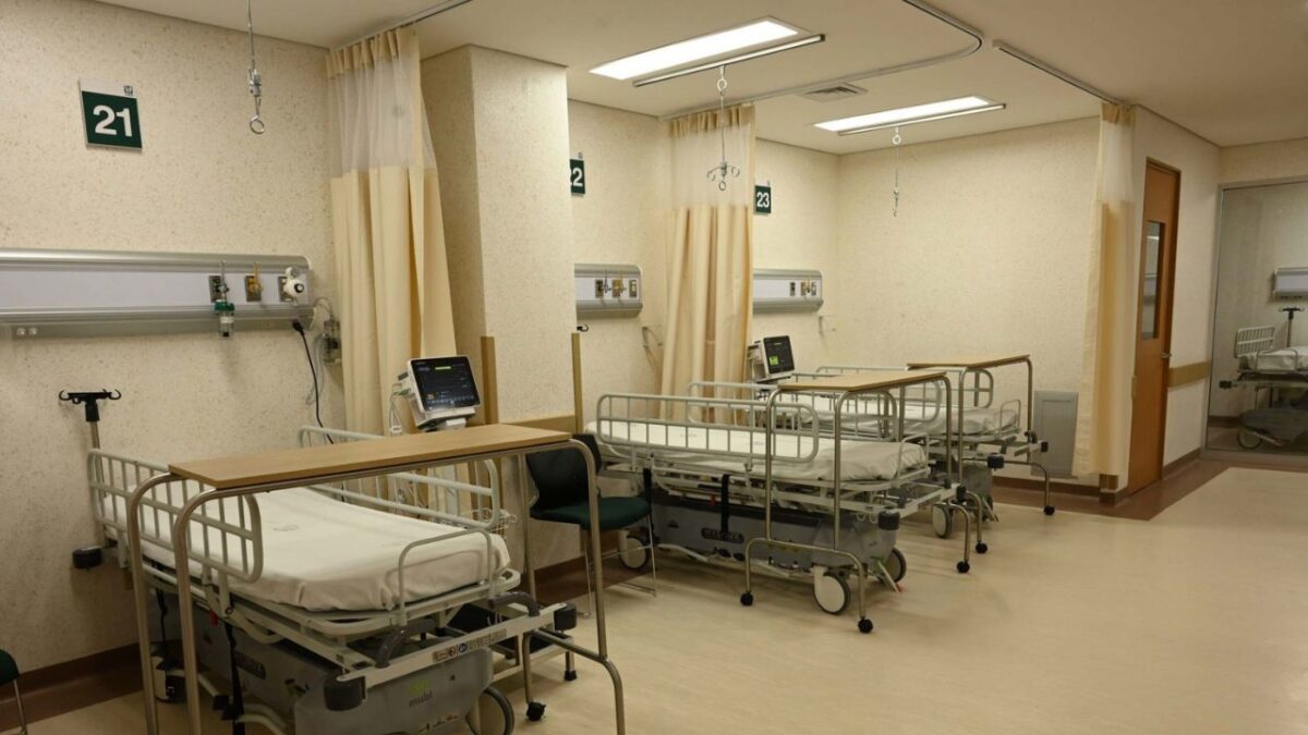 Salud reportó que al 17 de mayo se tienen detectados seis casos de miasis por gusano barrenador en humano.
