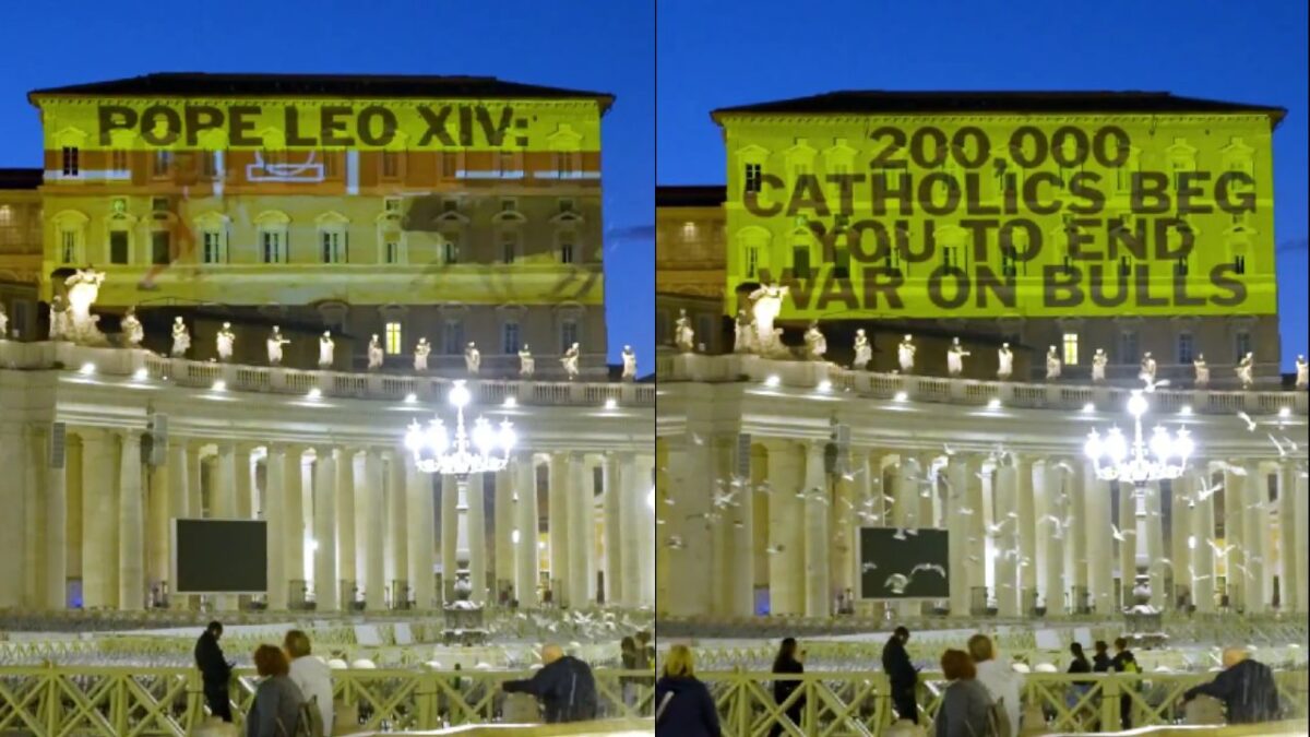 Activistas de PETA exigen al Vaticano cortar lazos con las corridas de toros.