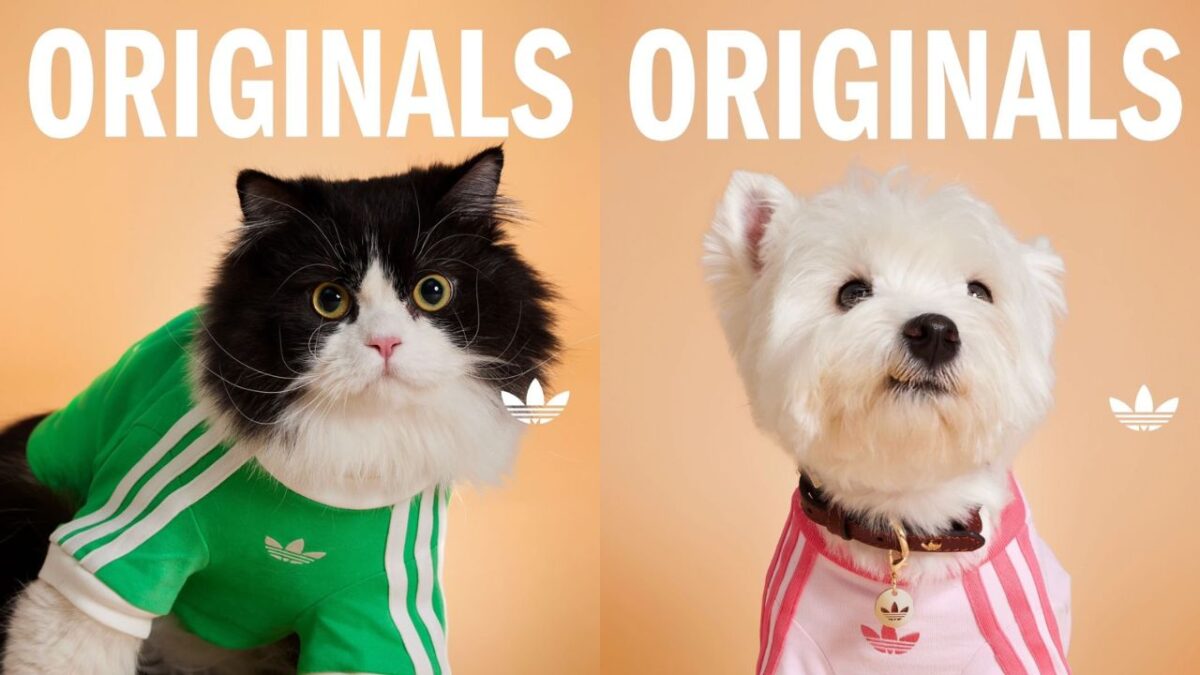 Esta es la nueva colección de Adidas Originals para mascotas