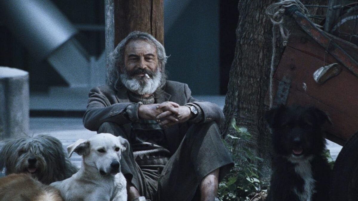 En Amores Perros se siente la “garra”, la pluma de Guillermo Arriaga comenta la actriz Vanessa Bauche sobre la obra.