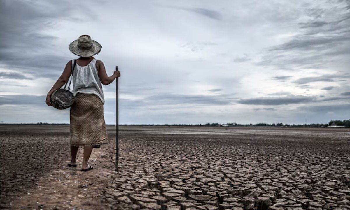 La Primera Sala de la SCJN declaró inconstitucional la eliminación del Fondo de Cambio Climático, ocurrida durante el sexenio pasado.