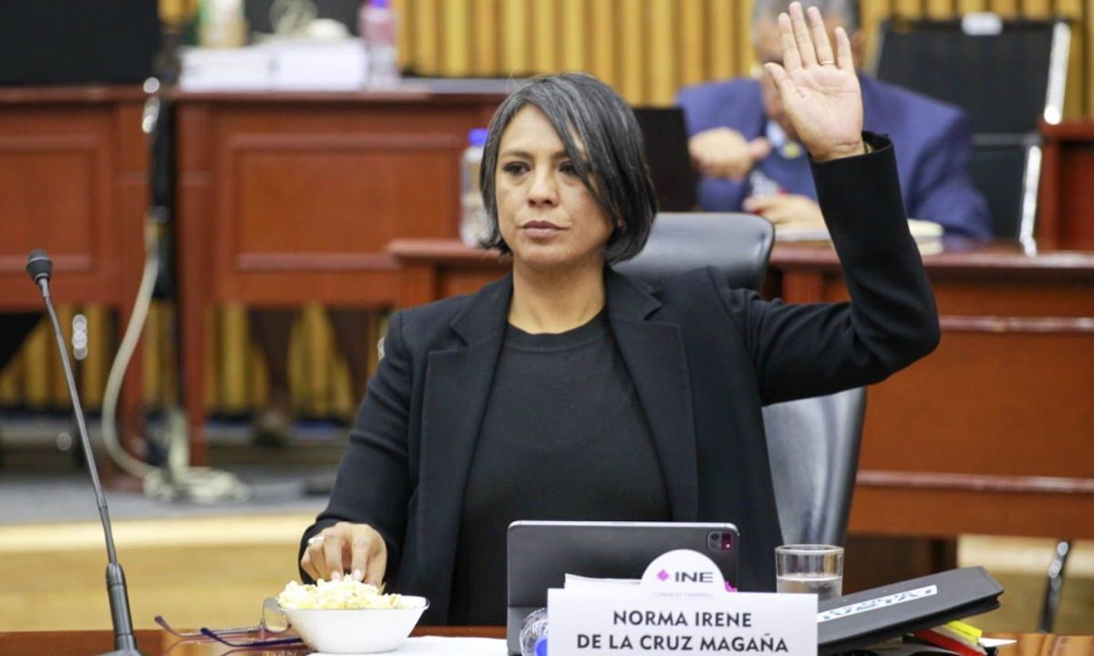 La consejera del INE, Norma de la Cruz, informó que las proyecciones son que a cada ciudadano le tomará 8:32 minutos el proceso de votación. 