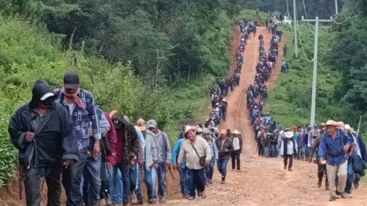 500 jóvenes, inclusive mujeres, estarían forzados a trabajar en condiciones de esclavitud por grupos criminales en la zona de Tierra Caliente.