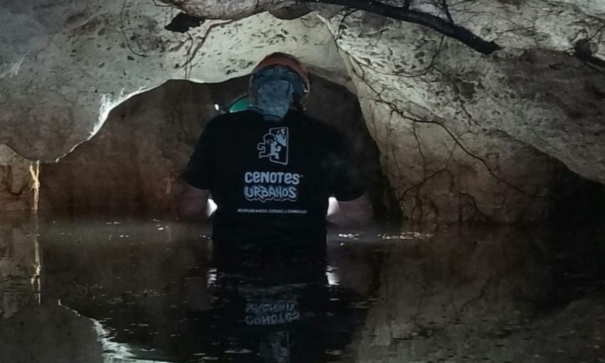 Cuevas hermosas, con especies endémicas, están siendo contaminadas por aguas negras, denuncia el biólogo Roberto Rojo  