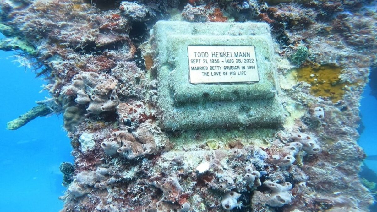 Se colocarán 700 estructuras modulares para no alterar áreas ecológicas sensibles, especialmente pastos marinos. 