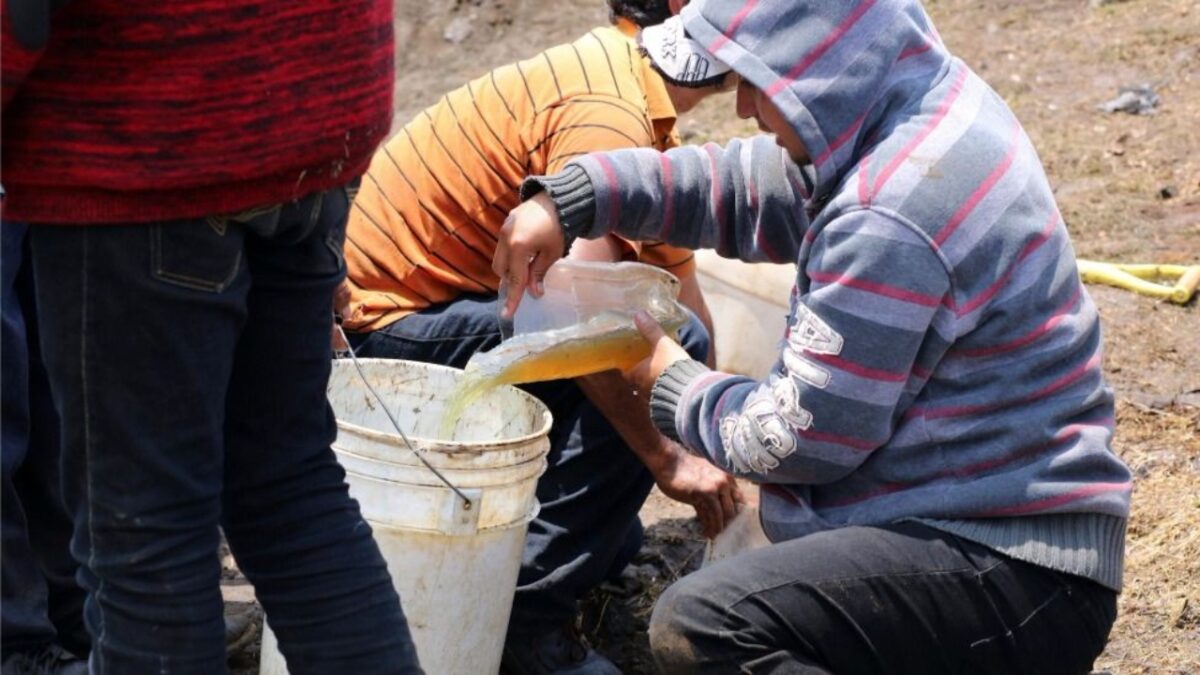 Hace 10 días, en Guanajuato y Veracruz, las Fuerzas Federales aseguraron 107 mil litros de huachicol.