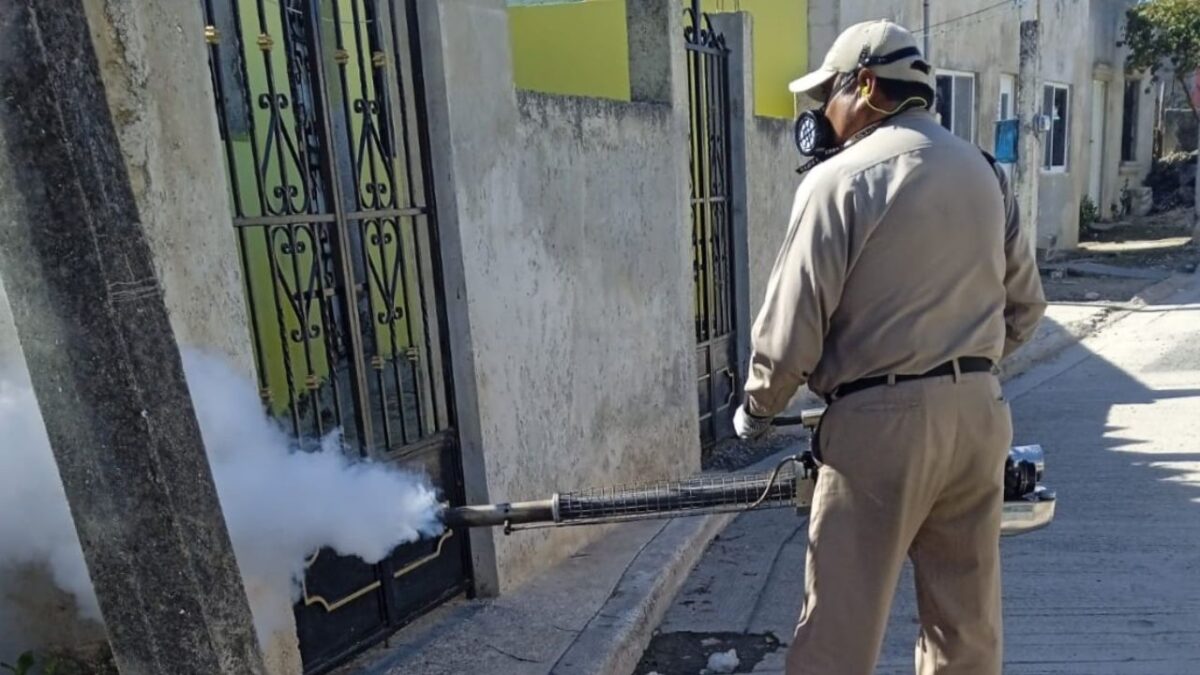 La cobertura contra el dengue se mantiene en los 13 municipios de Campeche con nebulizaciones y eliminación de depósitos de agua.