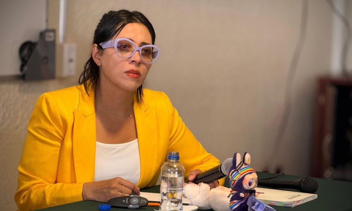 Eréndira Fierro declina candidatura por la rectoría de la UAEMéx