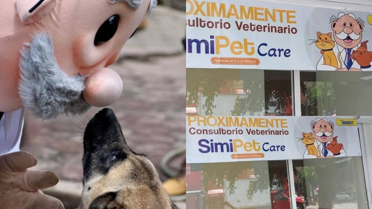Algunos se cuestionaron si Farmacias Similares atenderá animales con una veterinaria llamada “SimiPet Care” aquí lo que sabemos.
