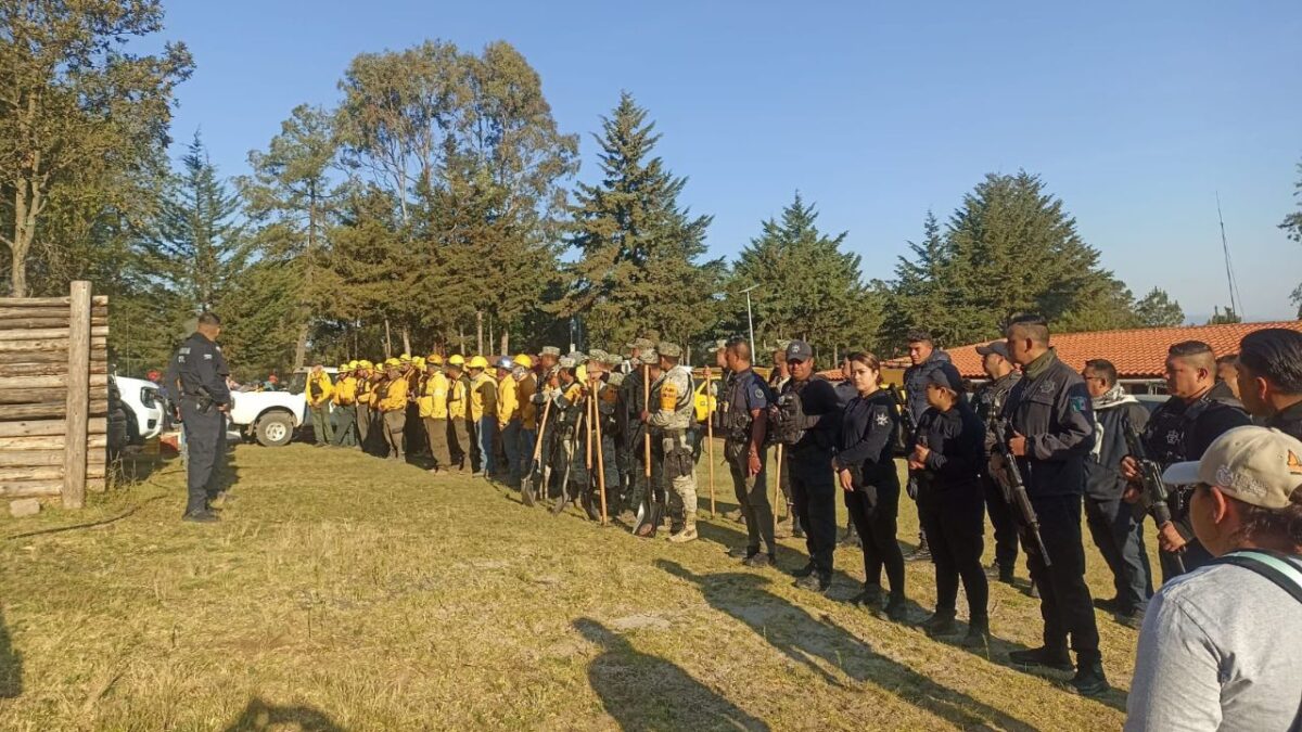 Pobladores de Senguio, Michoacán, alertaron que un incendio forestal, el cual inició la noche del viernes, ya alcanzó una parte de la zona de biosfera de la mariposa monarca.