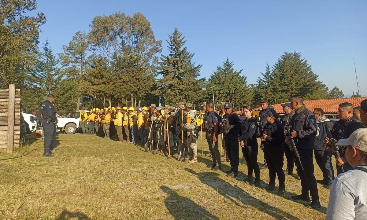 Pobladores de Senguio, Michoacán, alertaron que un incendio forestal, el cual inició la noche del viernes, ya alcanzó una parte de la zona de biosfera de la mariposa monarca.