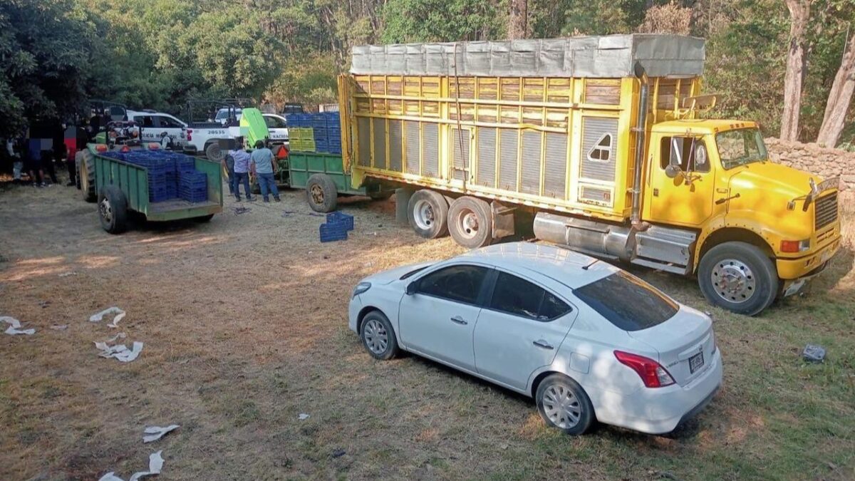 Elementos de Defensa y la SSP detuvieron a 14 personas presuntamente implicadas en el robo de 160 cajas de aguacate en Zirahuén, Michoacán.