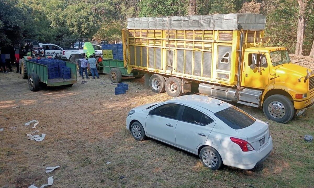 Elementos de Defensa y la SSP detuvieron a 14 personas presuntamente implicadas en el robo de 160 cajas de aguacate en Zirahuén, Michoacán.