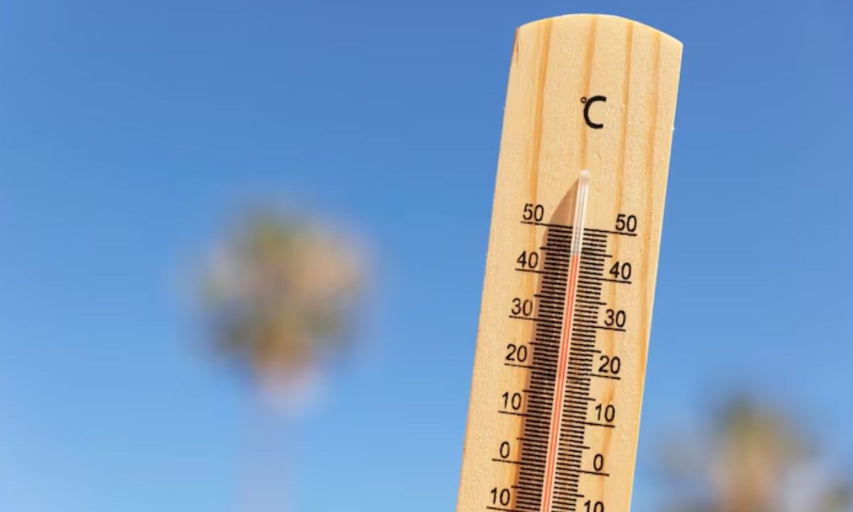 La titular de la Secretaría de Salud de San Luis Potosí confirmó la primera muerte por golpe de calor de un adulto mayor en Tamuín.
