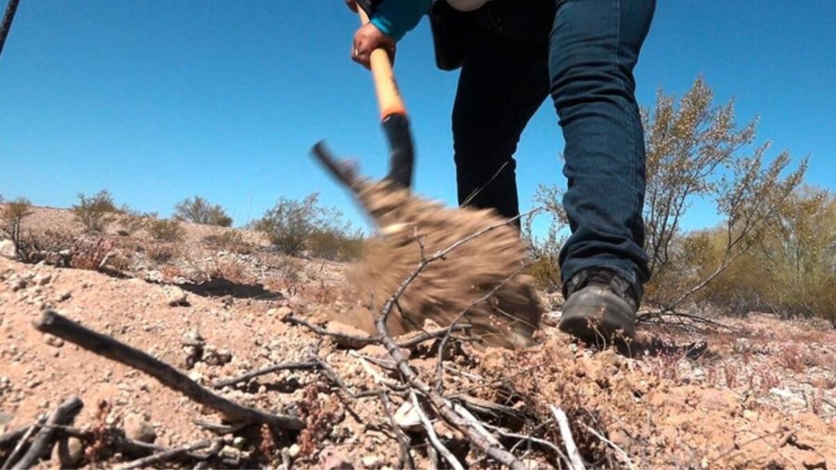 Suman 7 osamentas localizadas en fosas de Bahía de Kino, Sonora