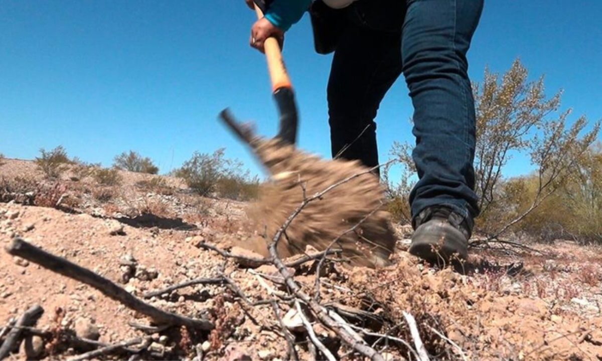 Suman 7 osamentas localizadas en fosas de Bahía de Kino, Sonora