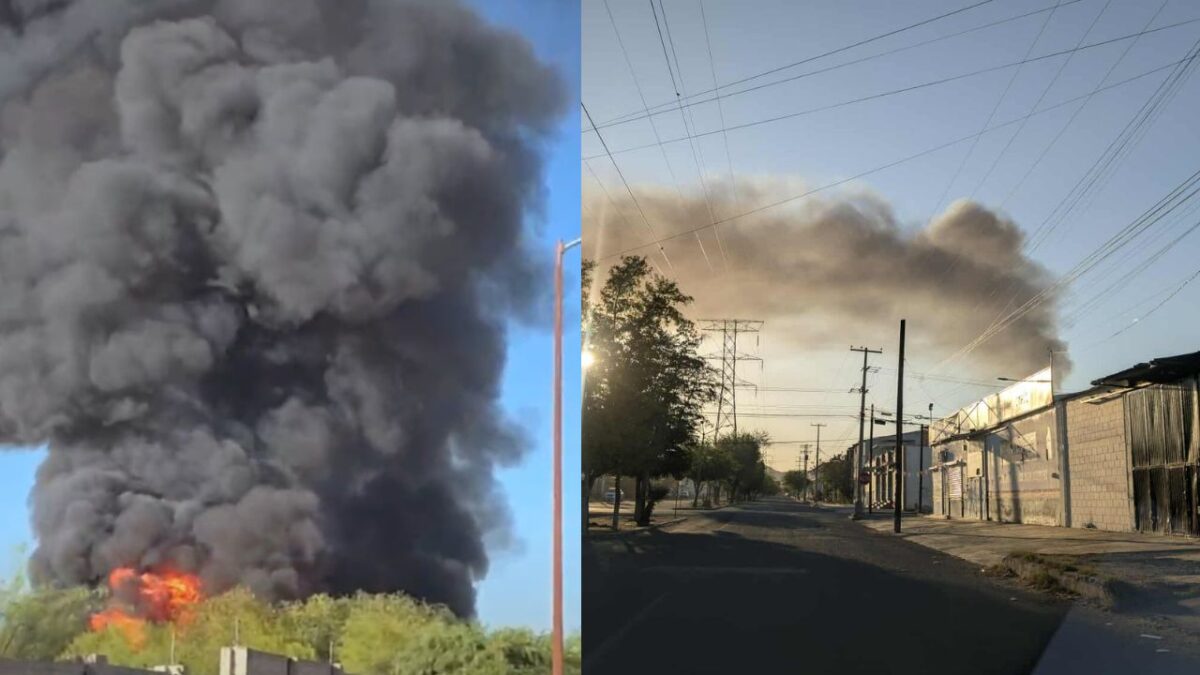 Se registra fuerte incendio en fábrica de tarimas en Hermosillo