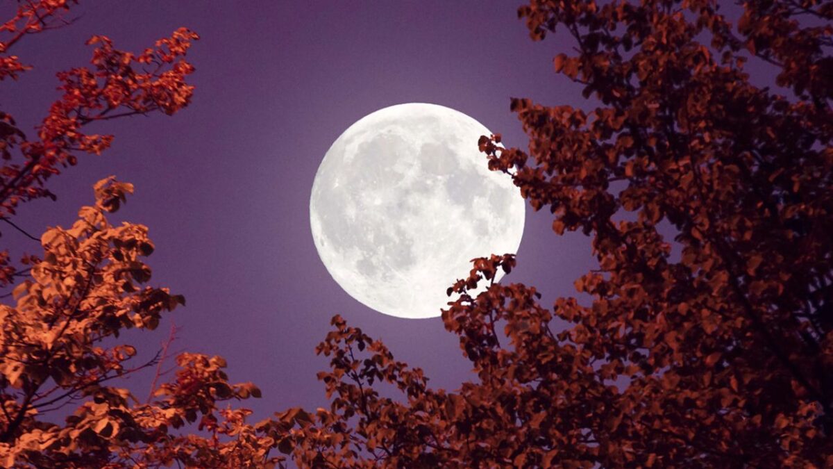 La Luna de Flores’ guarda una profunda relación con los ciclos de fertilidad y cosecha.