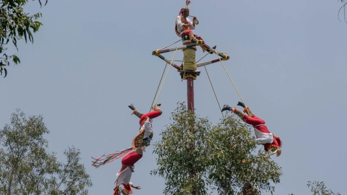 Voladores de Papantla caen al suelo tras colapso de palo ceremonial