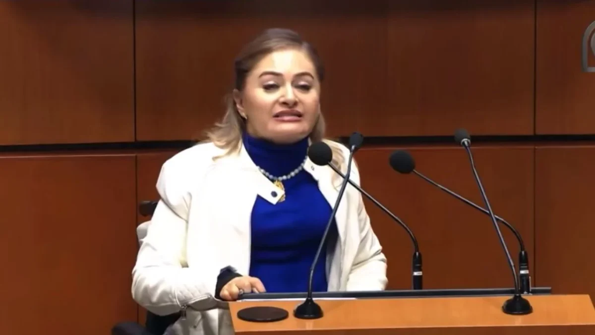 Claudia Anaya acusó a la UIF de no ver que tres bancos lavaron dinero para cárteles mexicanos