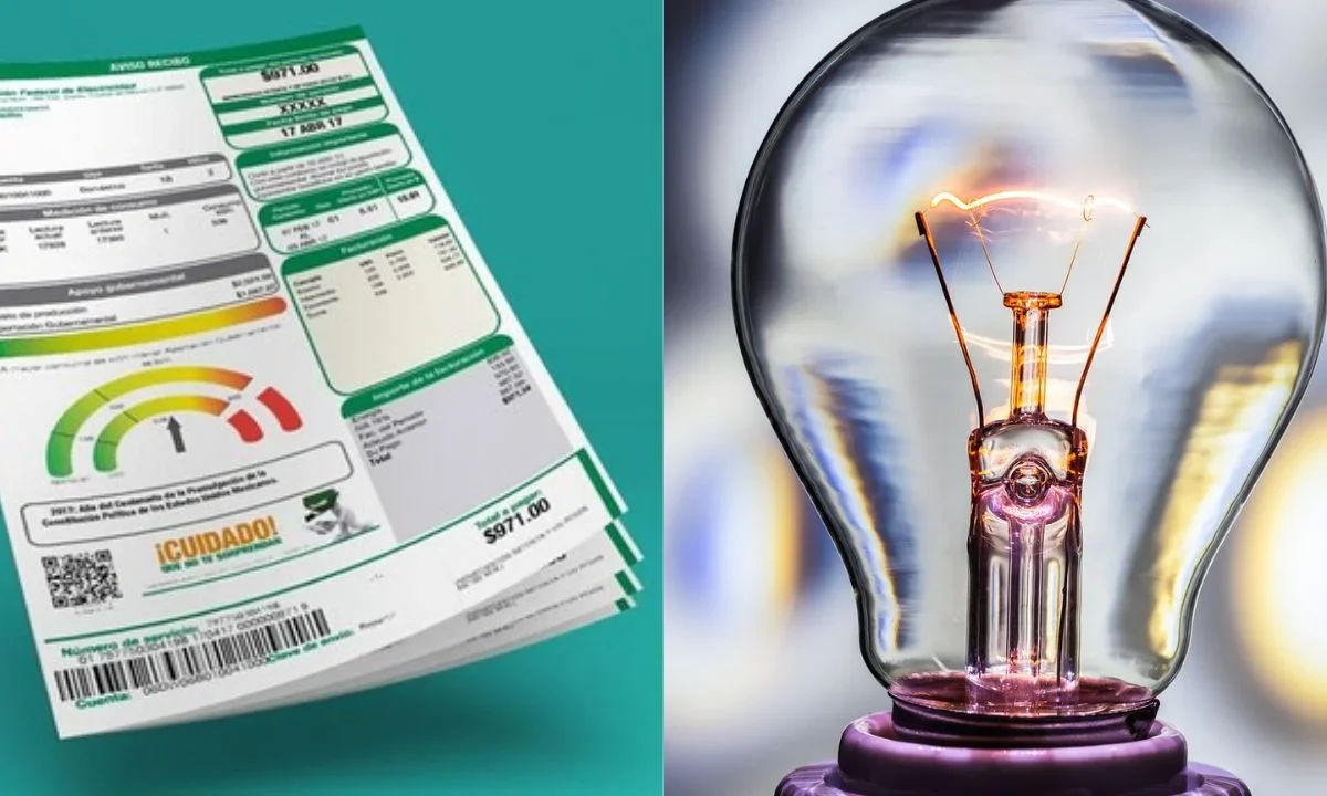 ¿Tu recibo de luz te llega carísimo? Checa estas recomendaciones de la Profeco para reducir el gasto del consumo de energía eléctrica en tu hogar.