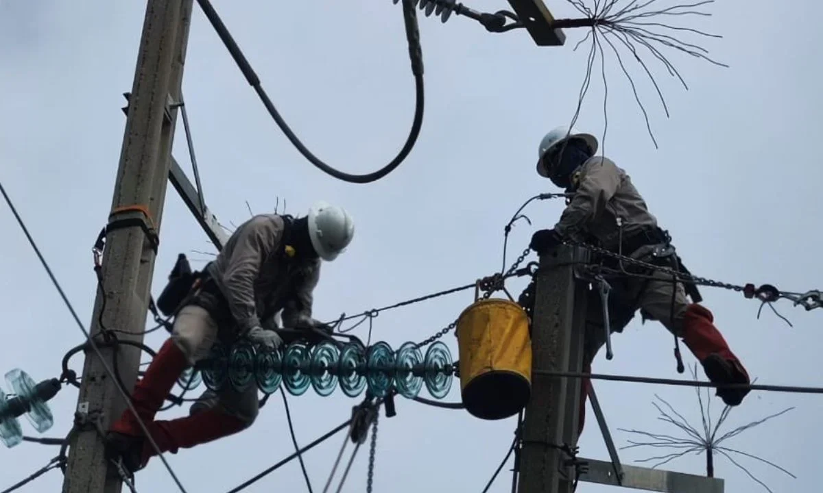 CFE restablece electricidad al 78.1% tras paso del huracán Erick