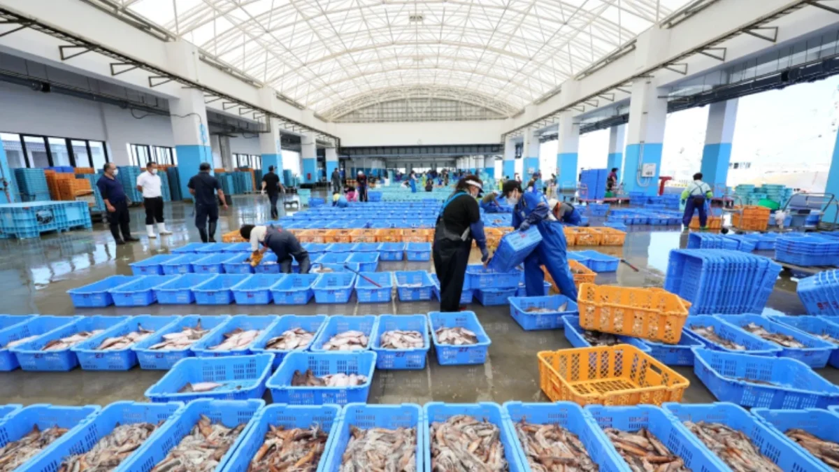 Revisión de mariscos japoneses tras reanudación parcial de importaciones por parte de China, excluyendo Fukushima y Tokio.