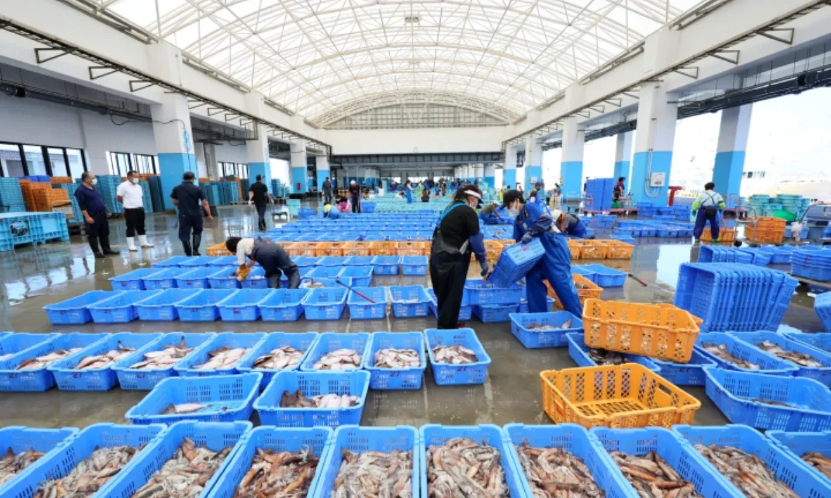 Revisión de mariscos japoneses tras reanudación parcial de importaciones por parte de China, excluyendo Fukushima y Tokio.