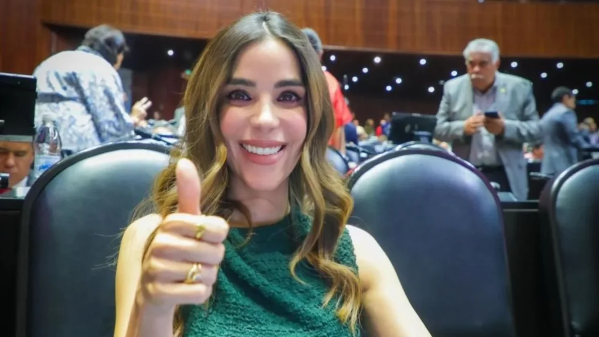La diputada Karina Barreras defendió la resolución que ganó ante el TEPJF, al sufrir violencia política por una usuaria de redes sociales.