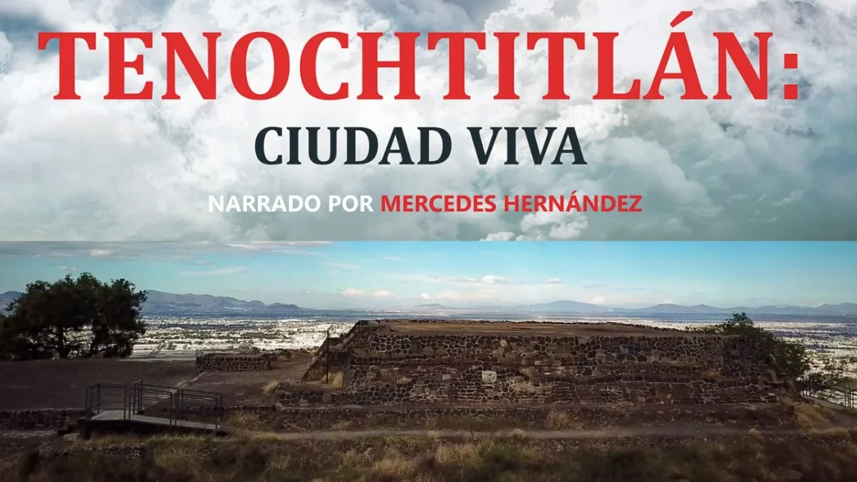 La serie es una iniciativa de la Sociedad Mexicana de Geografía y Estadística.