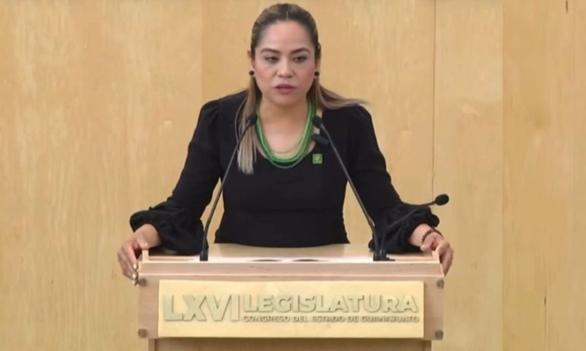 La legisladora Luz Mendo aseguró que sólo quiere proteger a las mujeres.