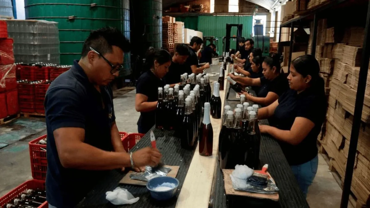 Ley Silla: en qué consiste y a qué trabajadores beneficiará