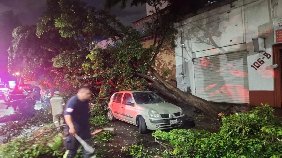 Lluvias dejó al menos 9 árboles caídos en la Cuauhtémoc