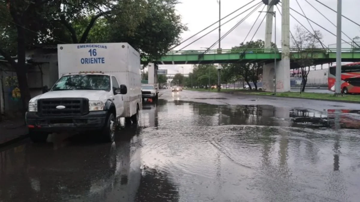 Seguiagua reporta 54 encharcamientos y 34 árboles caídos este domingo