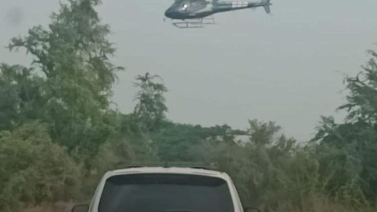 Un narcocampamento presuntamente ligado a un grupo criminal fue localizado y desmantelado por la Guardia Civil Estatal en el municipio de Tamasopo, en la región Huasteca de San Luis Potosí.