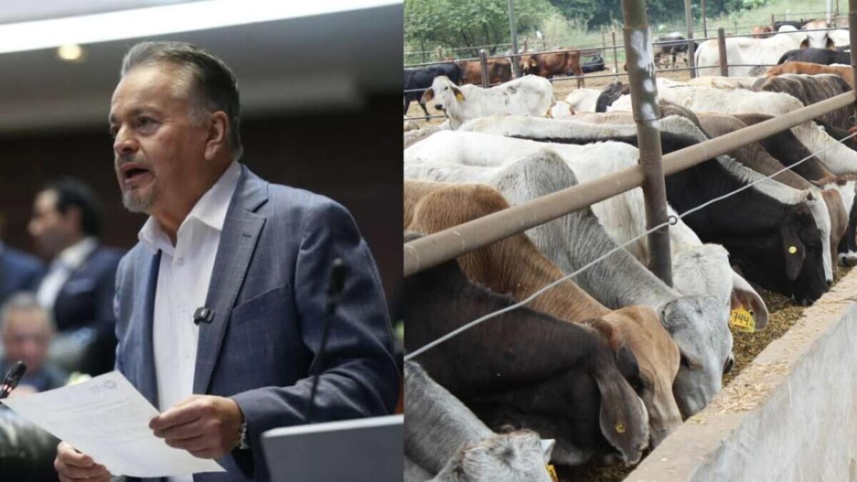 El PAN propone un blindaje en el país contra el gusano barrenador.