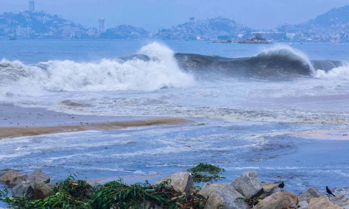 En la limpieza de playas, participan 2 mil 500 elementos navales, además de voluntarios.