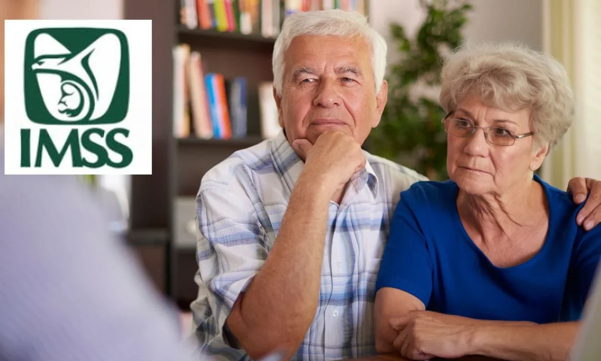 Pensión IMSS