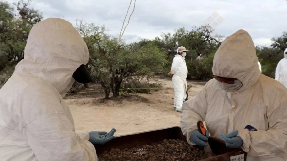 La Fiscal General de San Luis Potosí, Manuela Cázares, confirmó el envío de aproximadamente 200 restos óseos a un laboratorio forense en Alemania, en colaboración con el Programa de Identificación Humana (IDH) del Fondo de Población de las Naciones Unidas (UNFPA) en México.