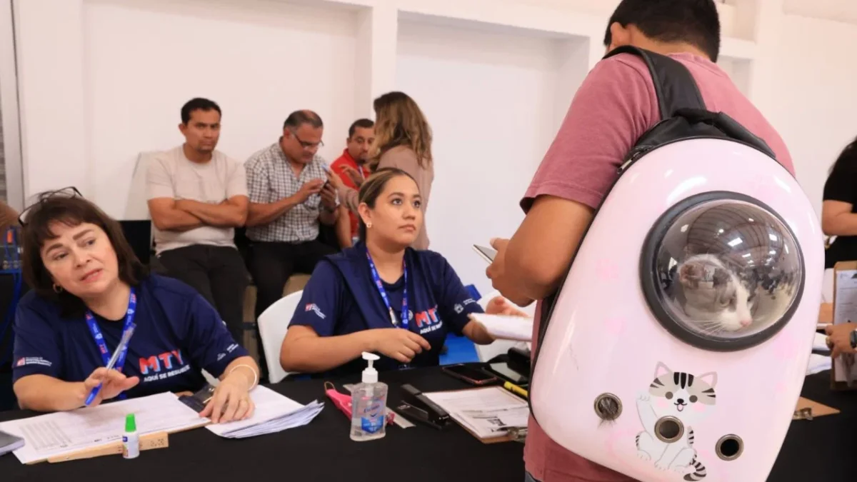 Realizan en la colonia Morelos, la séptima Brigada de Esterilización masiva para perros y gatos