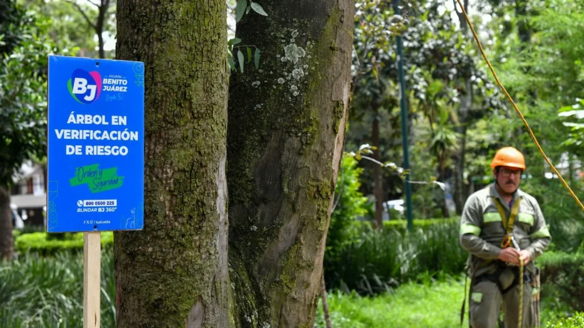 El próximo 12 de julio dará inicio la jornada de reforestación en al alcaldía Benito Juárez