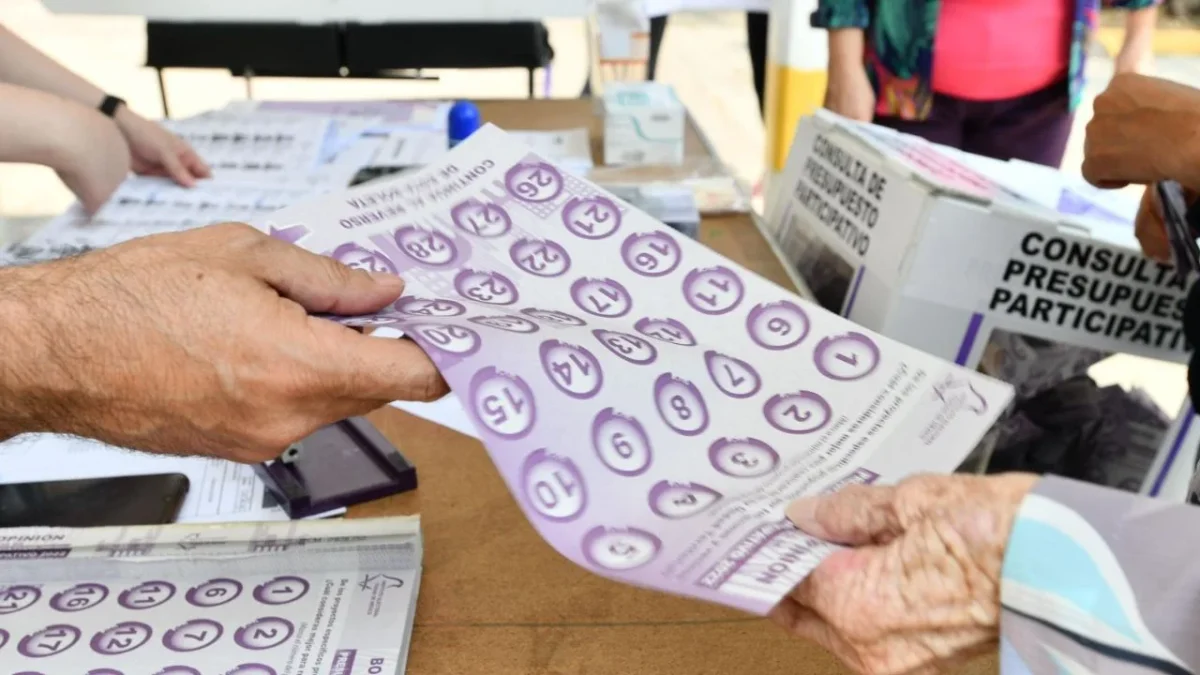 Consulta para Presupuesto Participativo 2025