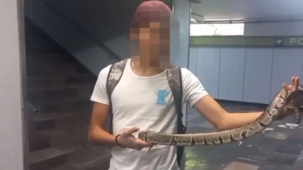 Detienen a menor de edad por pasear con su mascota, una serpiente, en el Metro
