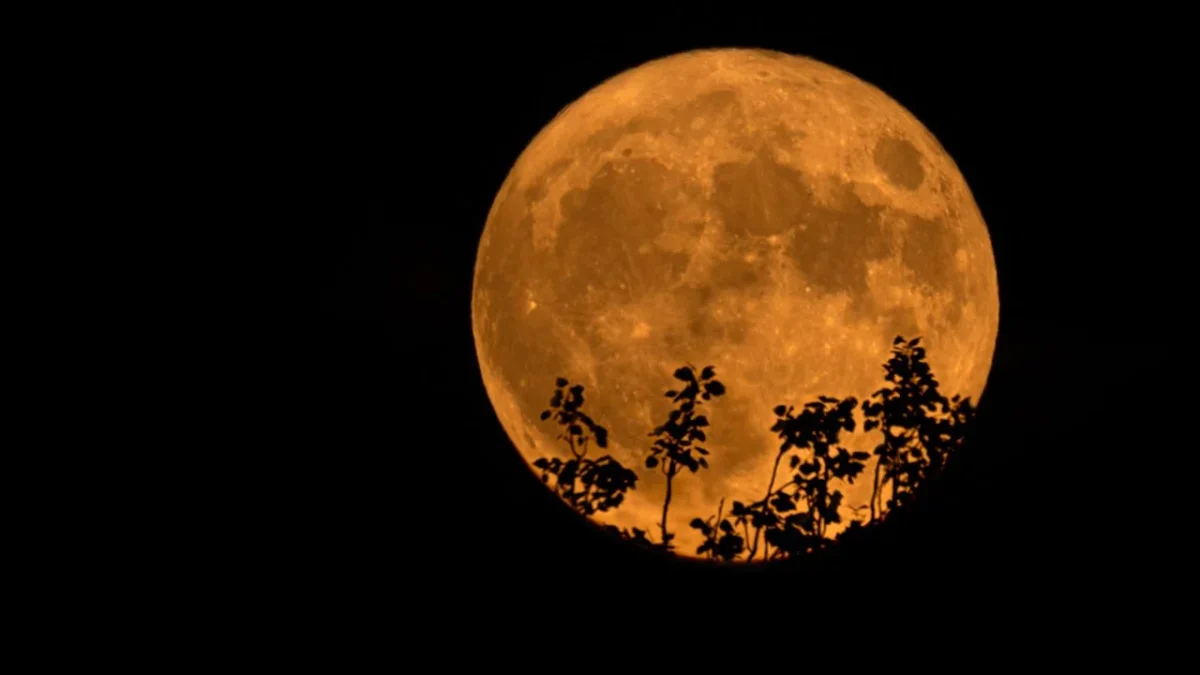 La llamada Luna de Esturión aparecerá en el cielo nocturno este agosto, brindando un espectáculo astronómico que podrá observarse a simple vista