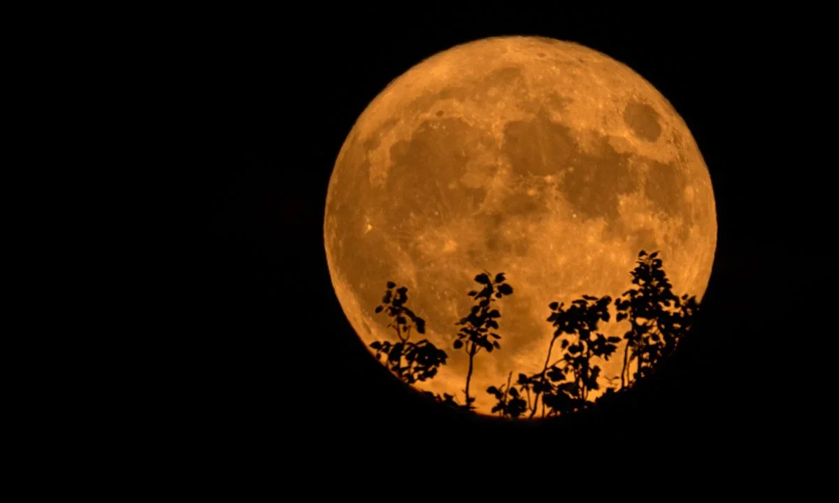 La llamada Luna de Esturión aparecerá en el cielo nocturno este agosto, brindando un espectáculo astronómico que podrá observarse a simple vista