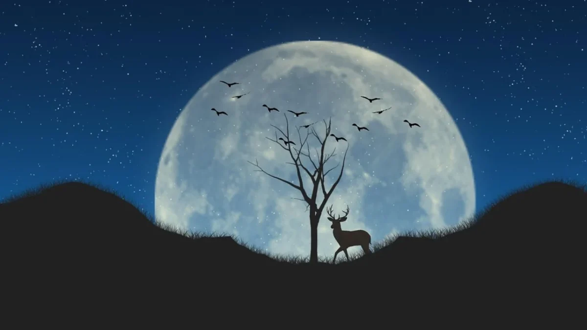 La "Luna de Ciervo" iluminará el cielo mexicano