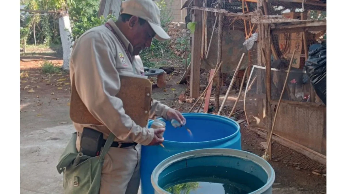 Exhortan a mantener el patio limpio, como mejor medida preventiva para evitar presencia del dengue.