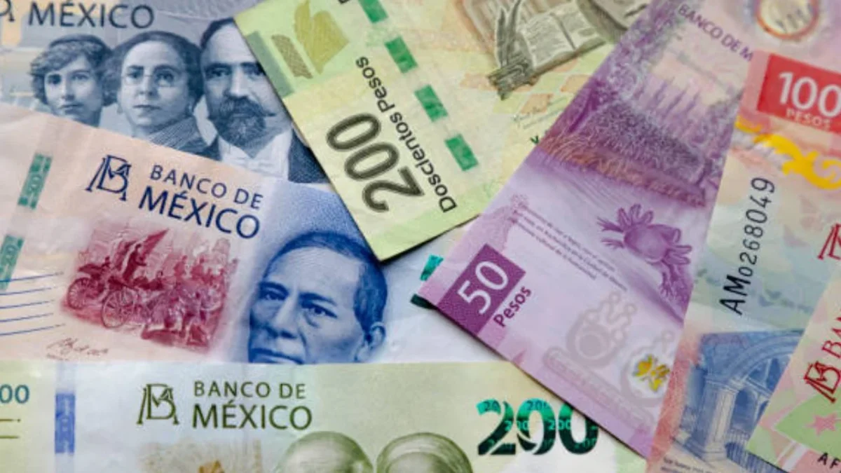 El salario mínimo establece un ingreso base legal por el trabajo desempeñado.
