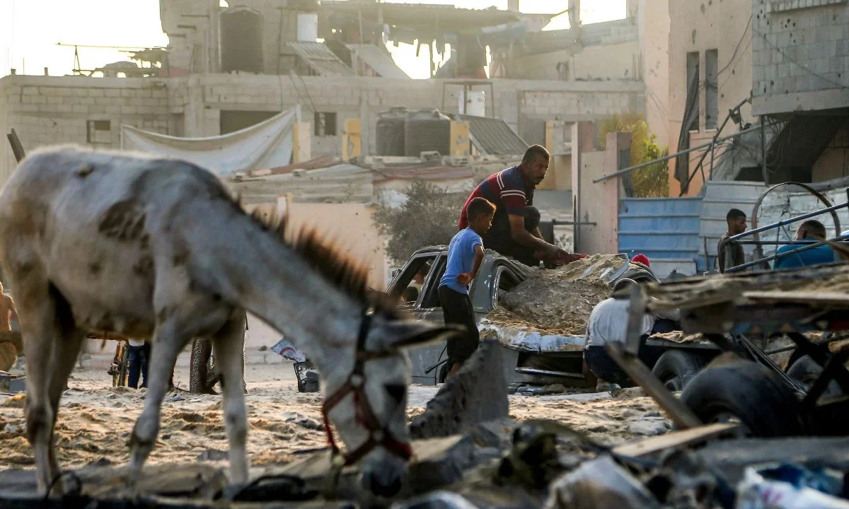 Las autoridades israelíes anunciaron que más de 200 camiones de ayuda humanitaria fueron fletados por organizaciones internacionales a Gaza.